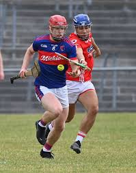 Image result for Erin`s Own Gaelic Athletic & Social Club