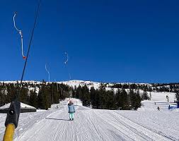 Image result for British Norwegian Ski Club