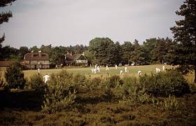 Image result for Blackheath Cricket Club