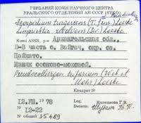 Attēlu rezultāti vaicājumam “Drepanocladus trifarius”