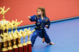 Image result for Kidderminster Tae Kwon Do Tigers