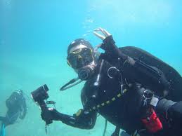 Image result for Lutterworth Sub-Aqua Club