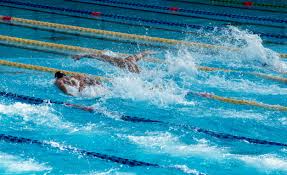 Image result for Garston Swimming Club