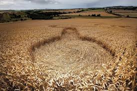 Image result for crop circles