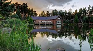 Image result for Bravo 4 Zero, Penrith, Cumbria