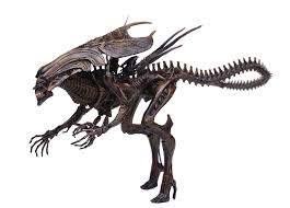 Image result for xenomorph