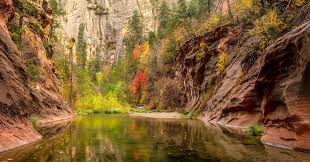 Image result for $$fall_akte__ort$$