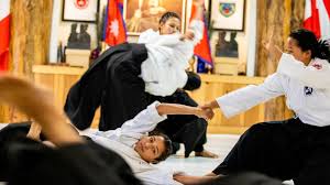 Image result for enpi dojo