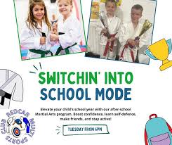 Image result for Redcar Judo Club, Cleveland