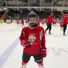 Image result for Swindon Panthers