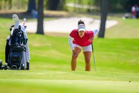 Image result for Winford Cricket Club