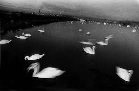 Image result for antoine d