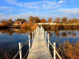 Image result for parque natural de camargue