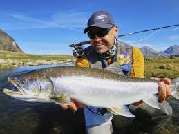 Image result for Salvelinus alpinus taranetzi