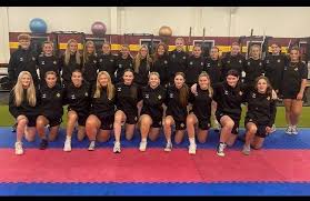 Image result for Huddersfield Giants Netball Club