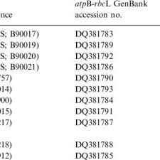 Attēlu rezultāti vaicājumam “Bryum neodamense”