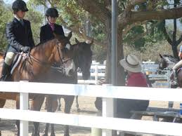 Image result for Huntingdon and District Riding Club