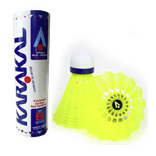 Image result for Thame Shuttles Badminton Club