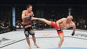 Image result for Bristol Dojo MMA