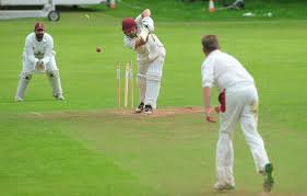 Image result for Bideford/Littleham/Westward Ho Cricket Club
