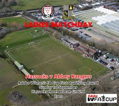 Image result for Hassocks Ladies FC