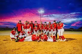 Image result for Dragons Softball Club