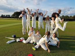 Image result for Bomarsund Welfare Cricket Club