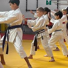 Image result for Nottingham Sankukai Karate