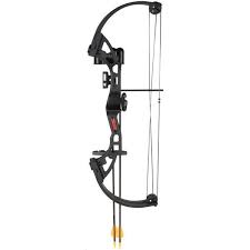 Image result for Carman Stables Archery