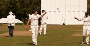 Image result for Braintree Cricket Club