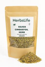 Attēlu rezultāti vaicājumam “Potentilla argentea fruit”