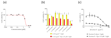 「ジェンナーロ・ガンツ カンピオーネ！」の画像検索結果