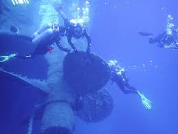 Image result for Richmond Sub-Aqua Club