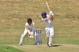 Image result for Old Tauntonians and Romsey Cc