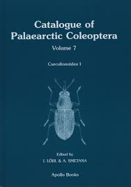 Image result for Coleoptera Curculionoidea