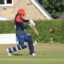 Image result for Kirkburton Cricket Sports & Social Club