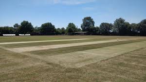 Image result for Ipswich Cricket Club