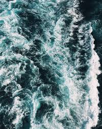 Image result for ALBION SEA FISHING CLUB