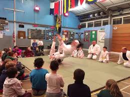 Image result for Worthing judo club
