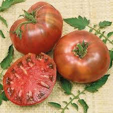 Afbeeldingsresultaat voor cherokee purple tomato