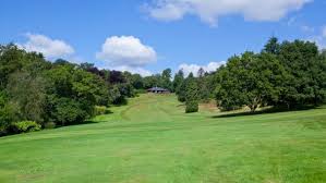Image result for Betchworth Park Golf Club