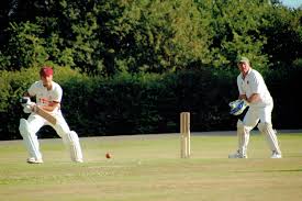 Image result for Havant Cricket Club