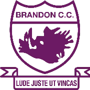 Image result for Esh Winning Cricket Club