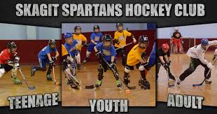 Image result for Glasgow Vipers Roller Hockey Club