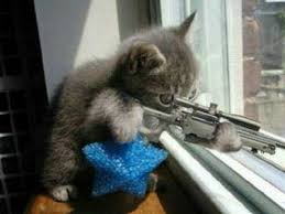 images?q=tbn:ANd9GcRuXLY3gqj5mlg1oQ-70vMjKvo3GZd1rzzE8c95Wfcppe7lDk5J