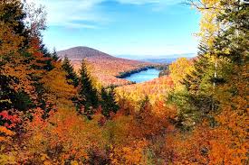 Bildergebnis für Fall…