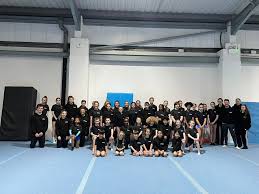 Image result for WALSALL GYMNASTICS CLUB