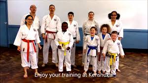 Image result for Kenshukai Karate