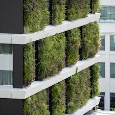 Image result for living wall