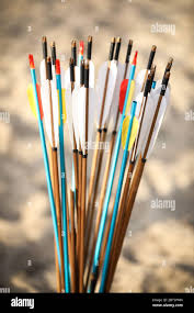 Image result for Blue Arrows Archery Club